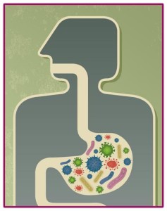 digestive-system-health